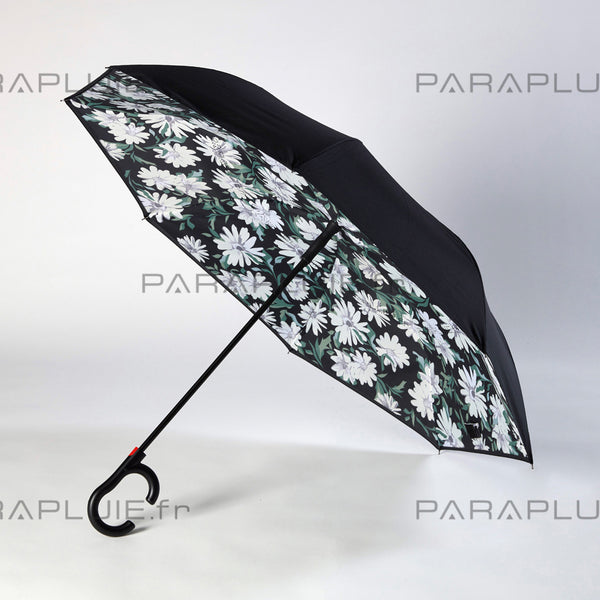 Daisy Life (Ref1611)